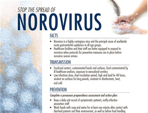 norovirus 2023 rki